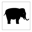 11 - Zoo
